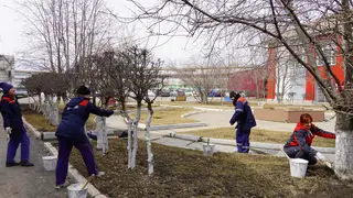 Красноярский цементный завод завершил череду  весенних субботников