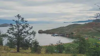 На Байкале к берегу прибило трупы мертвых нерп
