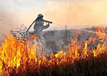 В 56 муниципалитетах Красноярского края был отменен особый противопожарный режим