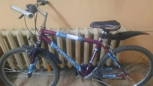 47-летний житель Минусинска украл у друга дорогостоящий велосипед, чтобы покатать жену