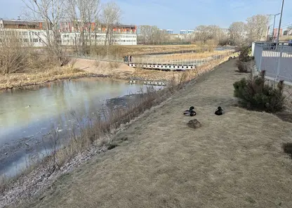 Новая зона отдыха у Енисея может появиться в Свердловском районе Красноярска в 2024 году