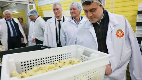 Губернатор Михаил Котюков поручил проработать эффективные меры поддержки для развития птицеводства в крае