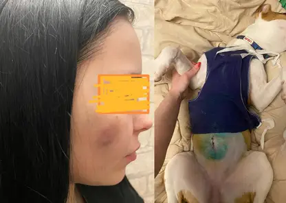 «Бил головой об пол, душил щенка»: Неадекватный красноярец избил в подъезде девушку мобилизованного и её собаку