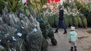 Жителям Красноярска рассказали о правилах утилизации елок