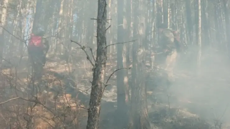 Пожарные Алтайского края на протяжении нескольких дней пытаются потушить лесной пожар