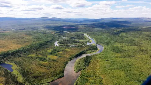 Красноярские ученые подвели промежуточные итоги по исследованию хвойных лесов в Эвенкии