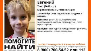 В Новосибирске бесследно исчез 7-летний мальчик