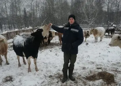 В Красноярском крае личные подсобные хозяйства получат 115 млн рублей на развитие животноводства
