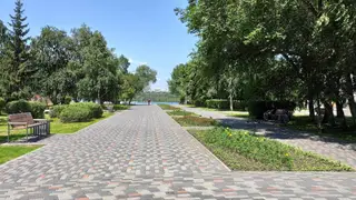 Красноярцы сами выберут 8 парков и скверов для реконструкции