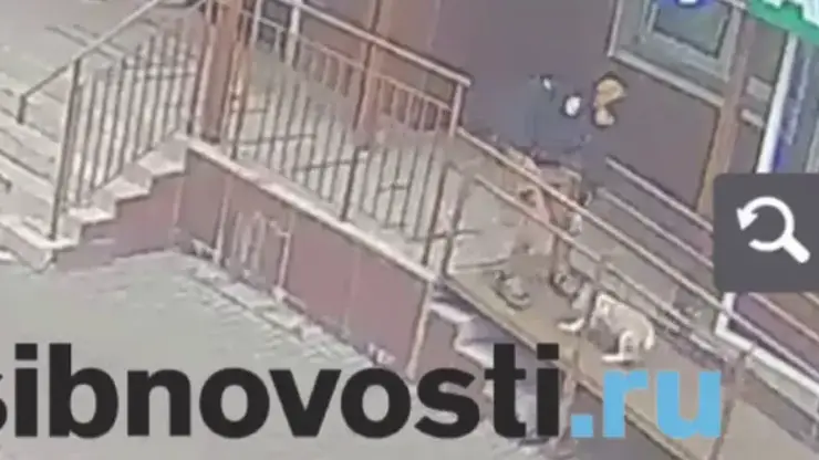 Красноярец избил свою собаку у подъезда. Видео