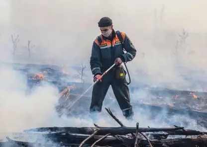 В Красноярском крае за сутки потушили 7 лесных пожаров