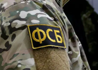 Жителя Красноярска задержали за призывы к терактам в госучреждениях