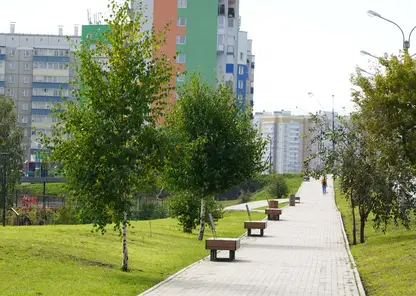 Жители Красноярска с 15 апреля смогут выбрать объекты для благоустройства в 2024 году