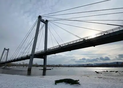 На берегу Енисея в Красноярске очевидцы заметили крокодила
