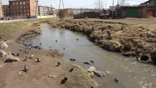 В Красноярске в 2024 году благоустроят набережную реки Бугач