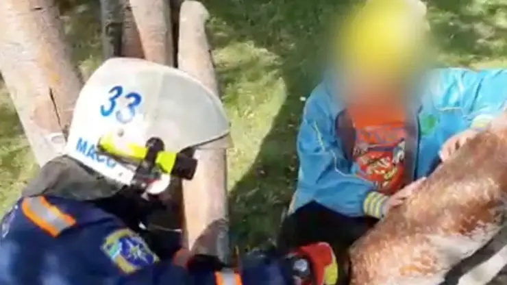 Юный житель Новосибирска застрял в дереве