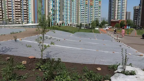 В Красноярске подрядчик продолжает устранять замечания в сквере «Яблоневый сад»