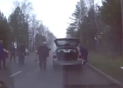 В Зеленогорске автоинспекторы помогли потушить автомобиль