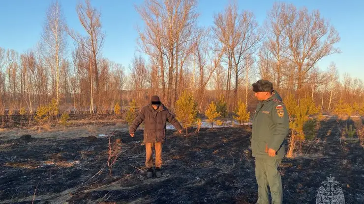Житель Красноярского края заплатит до 15 тыс. рублей за поджог травы