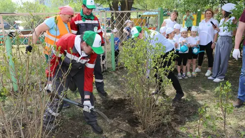 РУСАЛ организовал в Красноярске экоакцию по высадке деревьев «Зелёная волна»