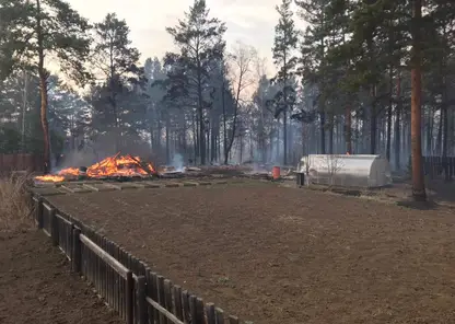 Детский лагерь и 24 строения в садоводствах загорелись 9 мая в Иркутской области