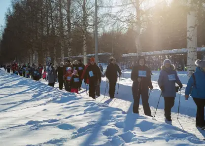 В Красноярске 11 февраля пройдёт всероссийская массовая гонка «Лыжня России»