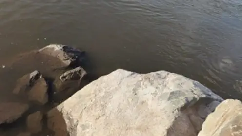 В Ачинске в реке Чулым утонул 12-летний мальчик