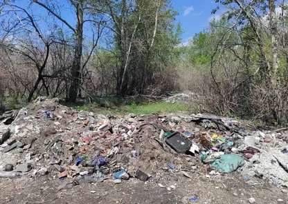 Более 5,6 тысяч кубометров мусора вывезли с территории Центрального района 