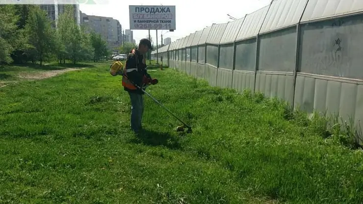 Жители Красноярска жалуются на шум под окнами от скашивания травы