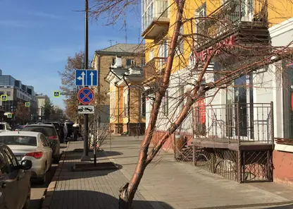В Красноярске проспект Мира озеленят по-новому