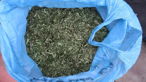 У жителя Шушенского района изъяли пакет наркотиков растительного происхождения