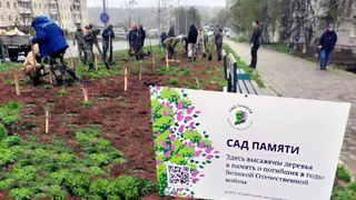В Хабаровском крае в этом году вновь высадят «Сады памяти»