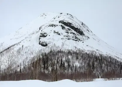 За неделю в Красноярском крае сошли 19 снежных масс