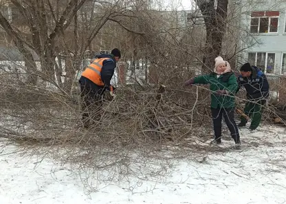 В Красноярске на 20 улицах Железнодорожного района провели обрезку деревьев