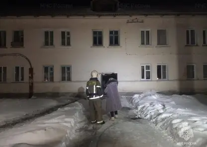 В Новосибирской области огнеборцы и полицейские на пожаре спасли 12 человек