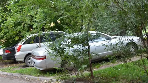 В Ленинском районе Красноярска автомобилистов за парковку на газонах оштрафовали на 2 млн рублей