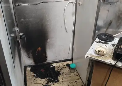 В Алтайском крае квартира загорелась из-за подсолнечного масла