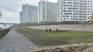 В Красноярске в «Тихих Зорях» обустраивают площадку для выгула собак