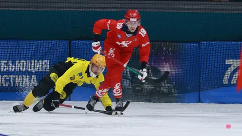 Красноярская хоккейная команда «Енисей» дома обыграла соперника из Мурманска