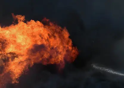 Три тонны алтайской сгущёнки сожгли в Хабаровске