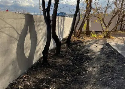 В Красноярске отремонтировали подпорную стену на ул. Мичурина