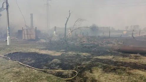 Основная причина пожаров в Красноярском крае - короткие замыкания из-за обрыва ЛЭП