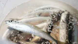 Житель Красноярского края съедает 22 килограмма рыбы в год
