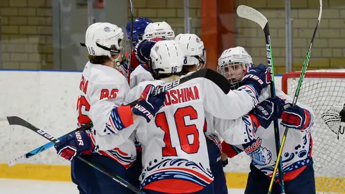 Хоккеистки «Бирюсы» на выезде разгромили соперниц из Свердловской области