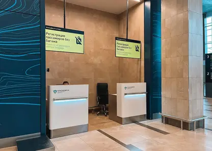В красноярском аэропорту установили стойки для пассажиров без багажа