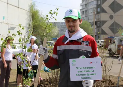 «Зелёная волна»: волонтёры компаний РУСАЛ и ЭН+ высадят 2000 саженцев кустарников, декоративных многолетних растений в 18 городах