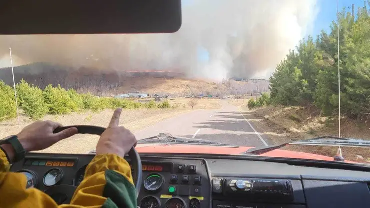 За сутки в Красноярском крае потушили 7 лесных пожаров