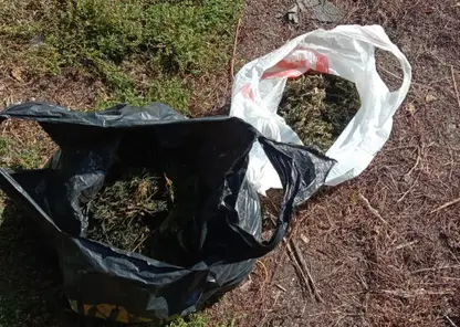 В Новосибирской области задержали мужчину с 2 кг наркотиков 